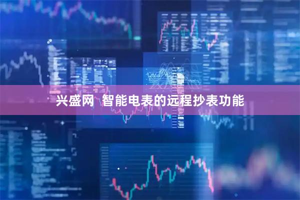 兴盛网  智能电表的远程抄表功能