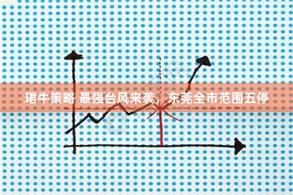 珺牛策略 最强台风来袭，东莞全市范围五停