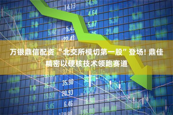 万银鼎信配资 “北交所模切第一股”登场! 鼎佳精密以硬核技术领跑赛道